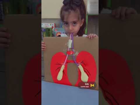 نشاط عملي تعليمي نشاط طريقة التنفس الرئتين الشهيق الزفير Shams شمس Blackpink Pinkfong Tiktok