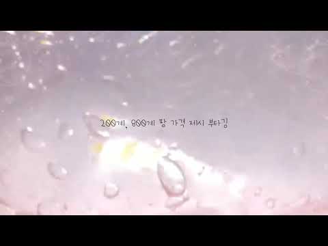 여기서 구하세요 🌙🍒 깊나 깊교 깊삼 계판 계나 계교 계삼 거래 편집자 추천인 어그로 부구 맞부구 나눔 판매 입금 스밍 홍보 홍구 구독 좋아요 프핱 보정 챌린지 안거 쿨거 다 가능