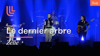 Cest Lété On Chill Tous Ensemble ? - Le Dernier Arbre De Frank Trommer Par Zélie