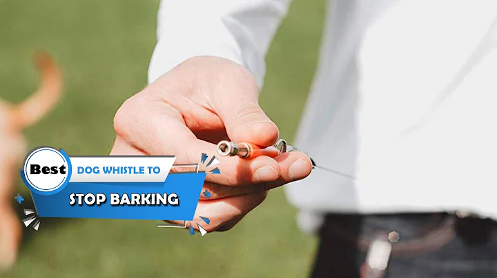 Top 5 Best Dog Whistles to Stop Barking [Review 2023] - Training Whistle/Dog Training Whistle