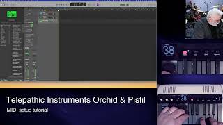 Telepathic Orchid Midi Setup Tutorial