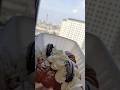 Aesthetic Mix⭐#shorts #relatable #aesthetic #dailyshorts #viralvideo #trending #car #icecream #calm