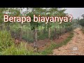 Pagar Kebun : Biaya 3,6 Jt