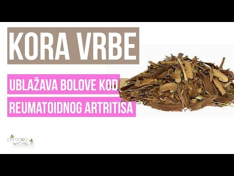 Video: Različite vrbe: uobičajene sorte vrba i grmlja