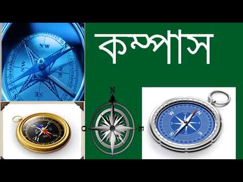 ভিডিও: সিয়ামিজ বিড়ালের চরিত্র