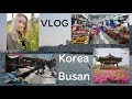 #korea VLOG☆ Поликлиника Пусана. Рыбный рынок. Красивый парк в Пусане. Южная  Корея. Пусан. Корея.