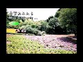 希望あふれる明日を信じて...【徳永英明:僕の時計】
