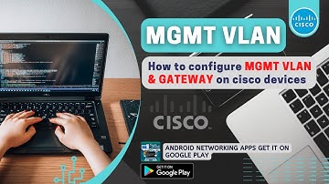 Configure Management VLAN and Gateway on Cisco Devices | Network Handbook