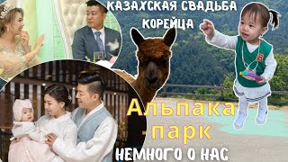 Наша казахская свадьба.Немного о нас.Альпака парк.Семейный отдых часть 2