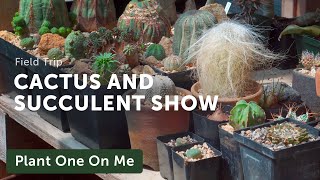 CACTUS & SUCCULENT Show on the Lower East Side, NYC — Ep. 282