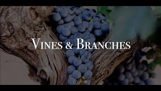 VINES & BRANCHES - Sunday, May 2, 2021