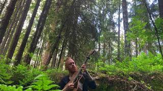Vetlhagjen - Norwegian Folk on Guitar