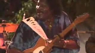 Albert Collins Honey Hush