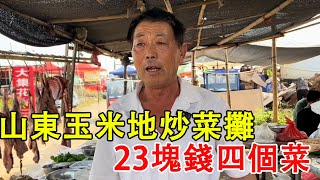 山東鄉村玉米田炒菜攤，23元安排四個菜，都是秒殺太快了。