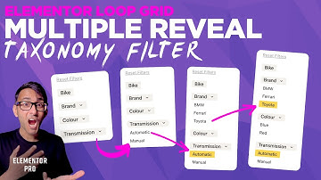 Super Elementor Taxonomy Filter Hack - Meerdere selecties en onthullen van kinderen
