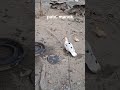 #trending #filipino #duck