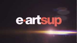 e-artsup Bumper 2013