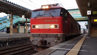 EF510形電気機関車牽引コンテナ輸送貨物列車野辺地駅通過  Container Freight Train led by Class EF510 EL passing Noheji Station
