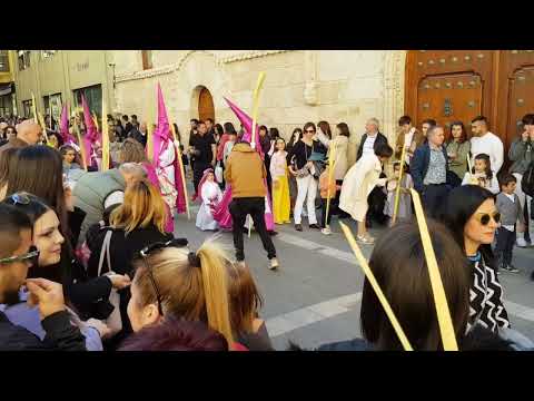 Procesión de la Real Cofradía de Jesús en su Entrada Triunfal en Jerusalén