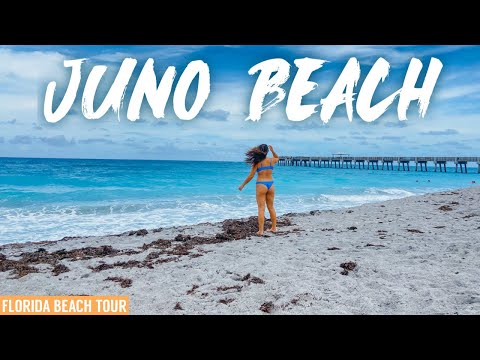 The CARIBBEAN of FLORIDA?? Juno Beach Vlog | Florida Beach Tour Ep. 3