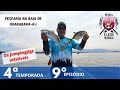 PESCARIA COM JUMPING JIGS NA BAIA DE GUANABARA - MICRO E LIGHT JIGS #dicasdepesca #pesca