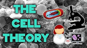 The Cell Theory | Complete Breakdown in 8 Minutes | Bio 101 | STEMstream