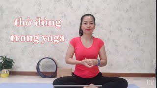 Cách tập và cảm nhận hơi thở yoga screenshot 2