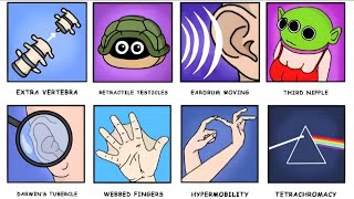 Every Genetic Mutation You Might Have Explained In 8 Minutes!