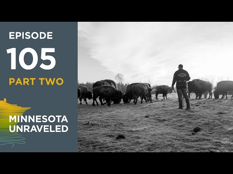 Part Two: Bringing Bison Home