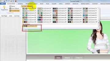 Suggestions Tab Demo (Demo 2) | TemplateToaster