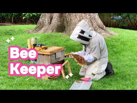 I Survived a Massive Bee Attack (and Saved the Hive) 🐝