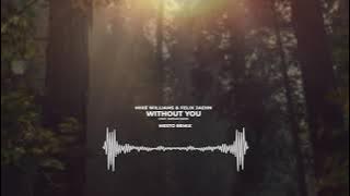 Mike Williams, Felix Jaehn  – Without You ft. Jordan Shaw (Mesto Remix) | Visualizer