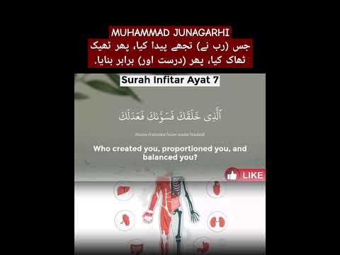 رب الکریم القرآن الكريم القرآن راحة نفسية العربية فلسطين القدس غزة العرب العراق