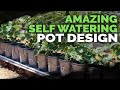 Best Self Watering Pot Design I've Seen Yet!