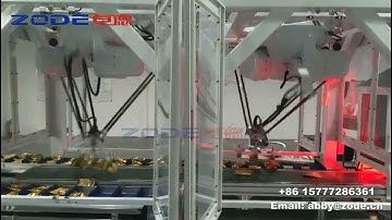ZODE Robot  Automatic Case Packing Machine