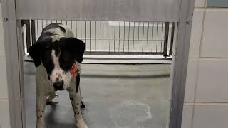 acs A671421