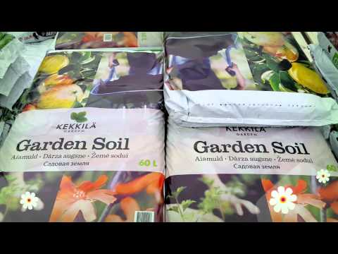Video: Salat. Õues kasvatamine