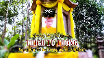 Lễ tưởng niệm tuần chung thất trưởng lão Hoà thượng Thích Từ Thông- Hiệu trưởng Trường TCPH TP. HCM