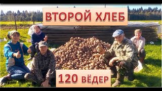 Убираем ГЛАВНЫЙ деревенский продукт