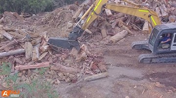 Tree Shear in Action!