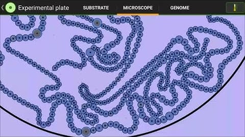 Slitherers - by wapcaplet