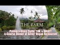 The farm at san benito palmera glass villa room tour alive vegan experience and cost