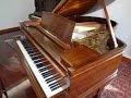 Five Popular Hits of the Day (1927-1930) on a 1922 Steinway Duo-Art Grand