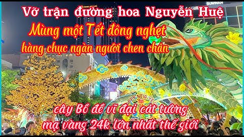 Vỡ trận đường hoa Nguyễn Huệ mùng một Tết đông nghẹt hàng chục ngàn người chen chân | Giáp Thìn