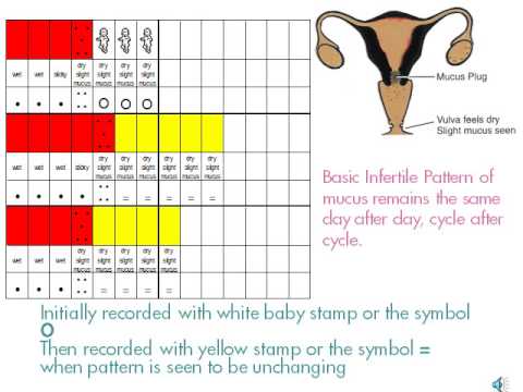 Natural Methods Of Birth Control Chart