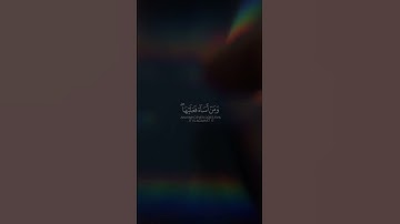ياسر الدوسري - سورة الجاثية  Yasser Al-Dosari - Surah jathiyah