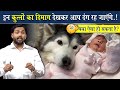 You Will Be Stunned To See The Intelligence Of These Dogs Viral Khan Sir