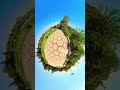 A Short Walk in Mellat Park, Tehran #vrexperience #vr #360video #travel