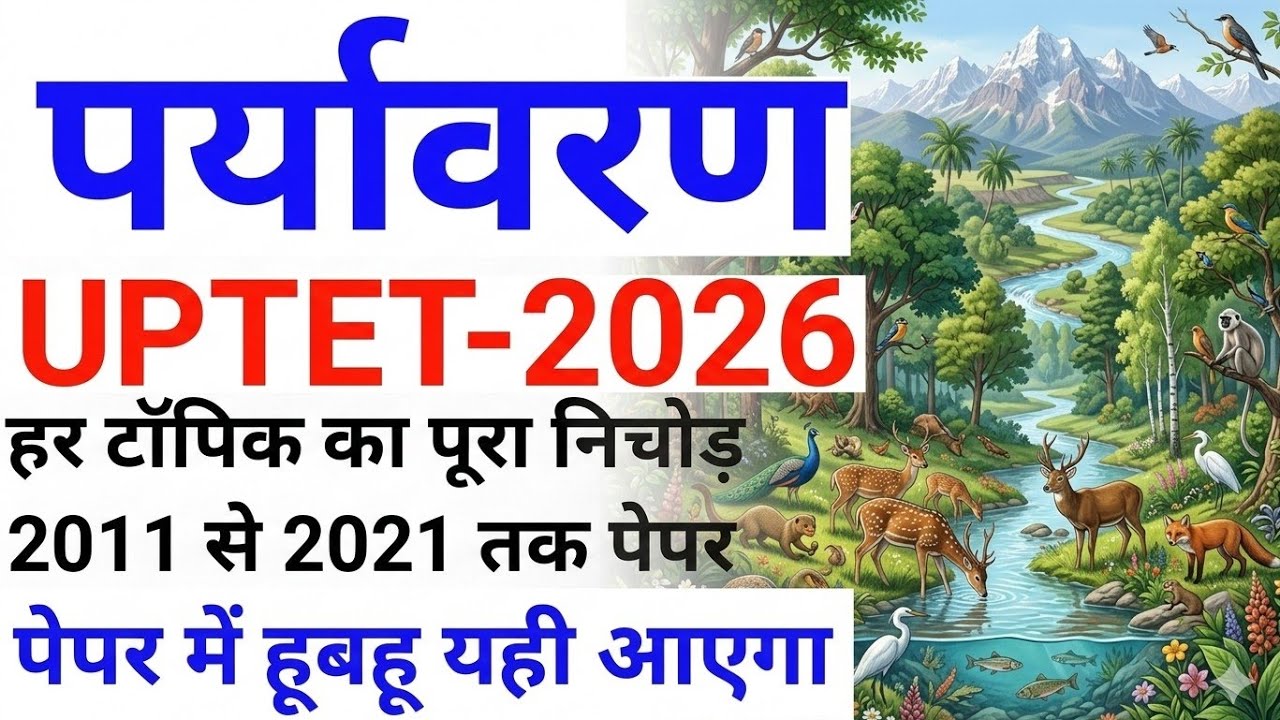 UPTET 2026 evs previous year question paper| UP TET 2026 notification #educationstudypoint#uptet2026