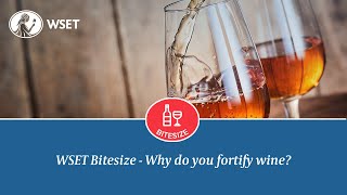 WSET Bitesize - Why do you fortify wine?